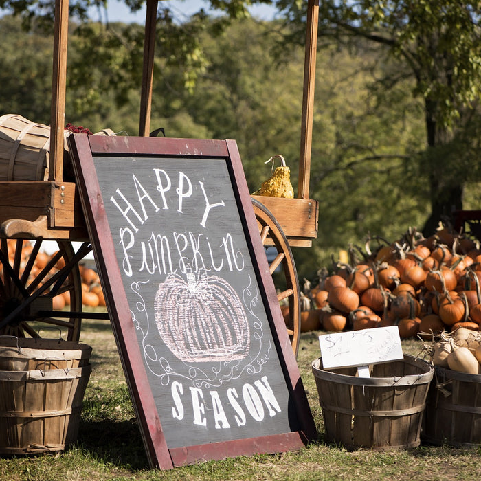 Smack Happy Pumpkin Dip