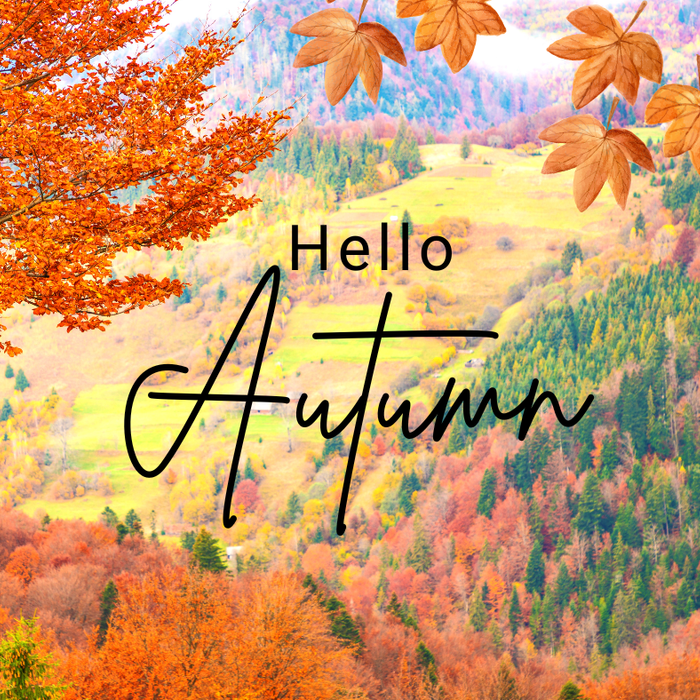 A Fall Blessing Prayer: Finding God's Peace in the Beauty of Autumn