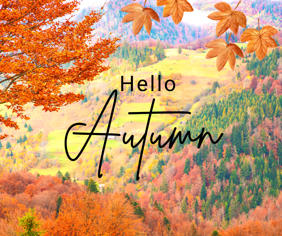 A Fall Blessing Prayer: Finding God's Peace in the Beauty of Autumn